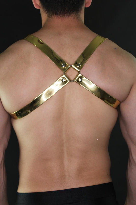 ARNES LEADER METALLIC