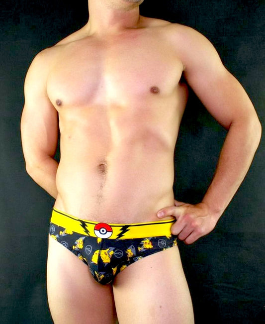 POKECHONES ANIMATION