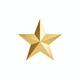 ESTRELLA DORADA, CON FONDO BLANCO